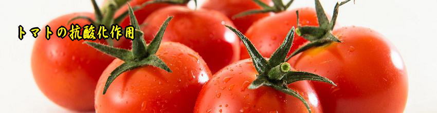 トマトの抗酸化作用