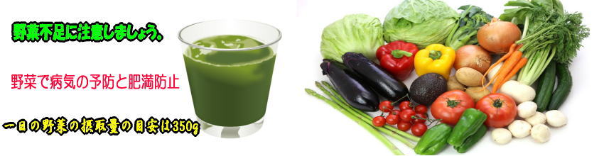 野菜を食べて病気の予防と肥満防止